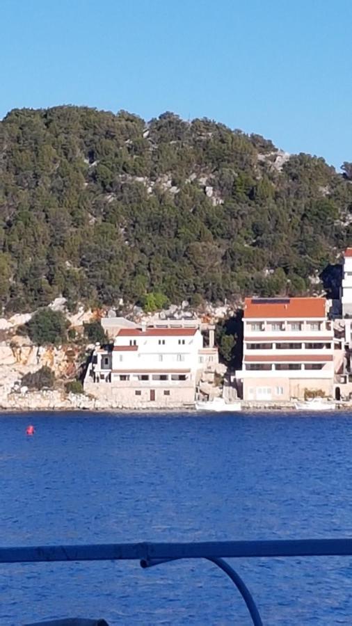 Apartma Lesic Zaklopatica