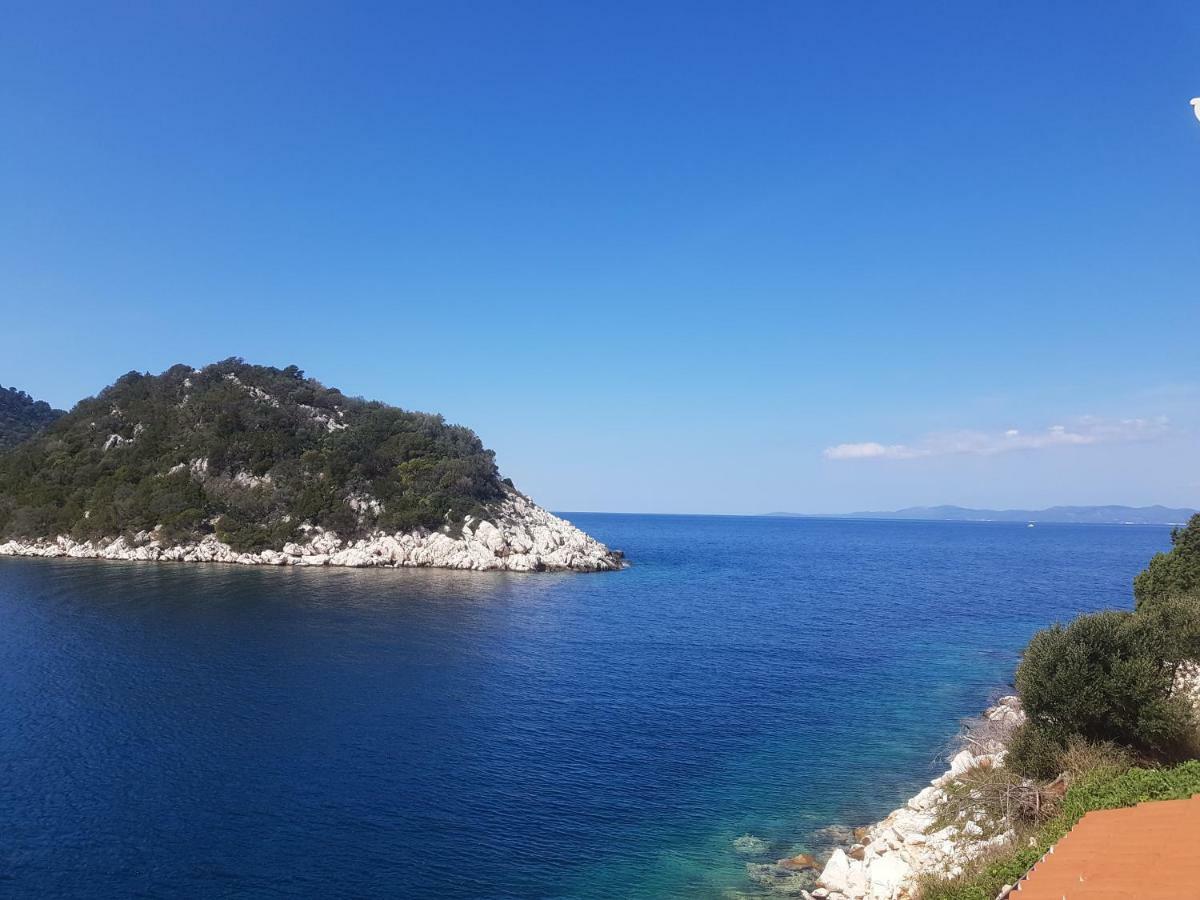 Lesic Zaklopatica Lastovo