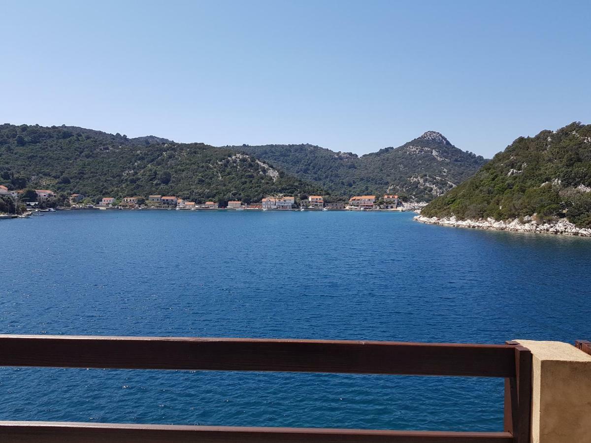 Apartma Lesic Zaklopatica *