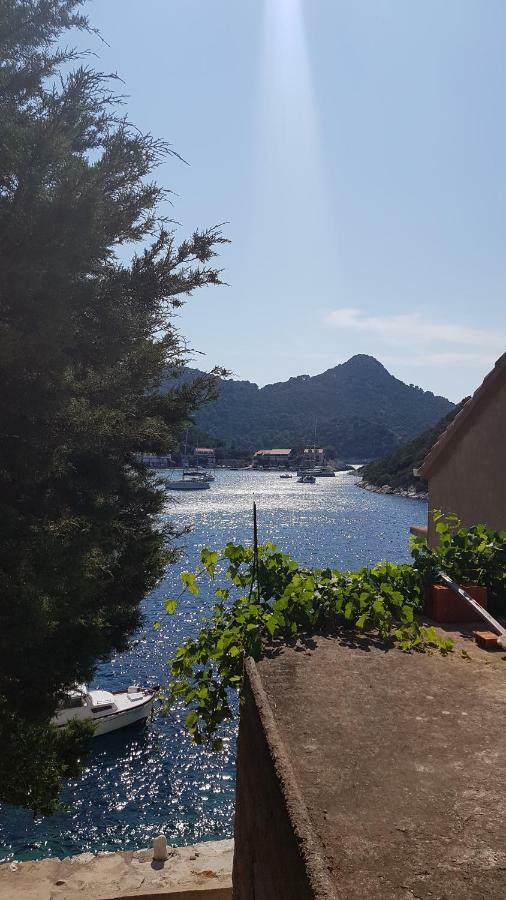 Apartma Lesic Zaklopatica Lastovo